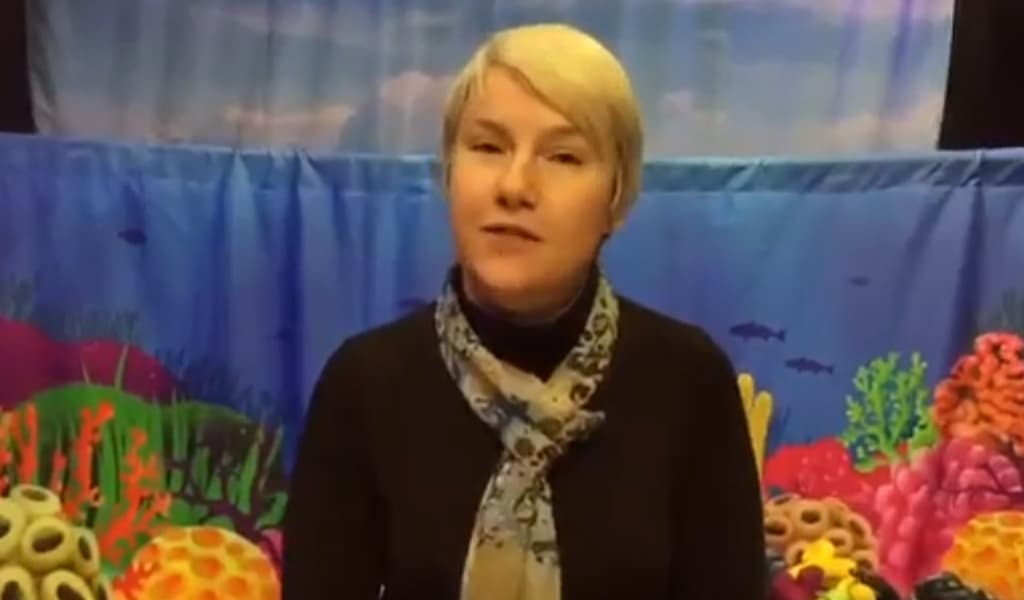 «Профессионалы детского развития об Интерактивном Бэби-театре».