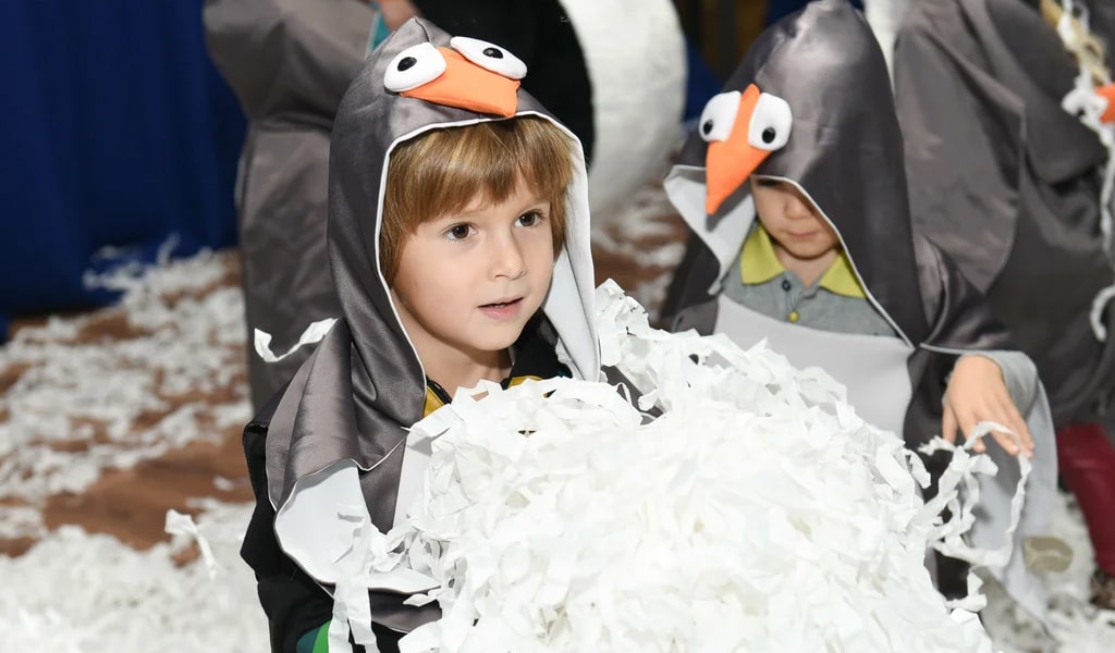 Новогоднее шоу в Антарктиде Snow&Show